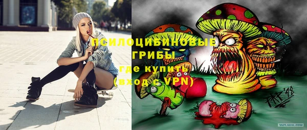 спиды Алексеевка