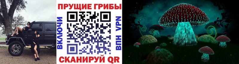 Псилоцибиновые грибы GOLDEN TEACHER  ОМГ ОМГ ссылка  Разумное  магазин  наркотиков 